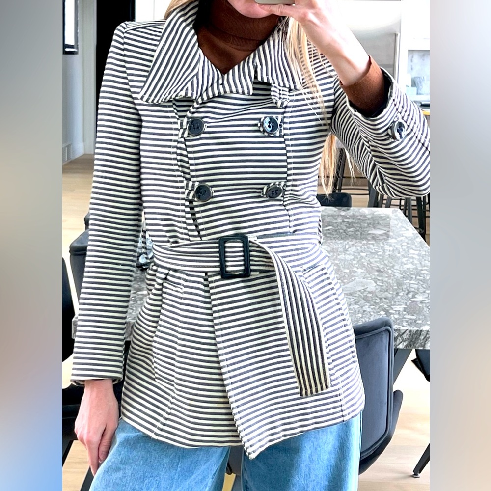 Zara pin striped coat with belt